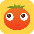 小番茄交友app