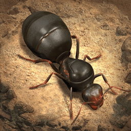 The Ants游戏