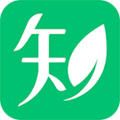 知叶App