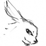 兔兔漫画app