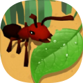 蚂蚁进化3D大树迷宫游戏