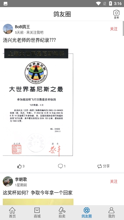 职业赛鸽网app 1