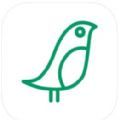 飞鸽社交app