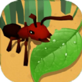 蚂蚁进化3d蜜蜂boss游戏