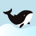 鲸心交友软件