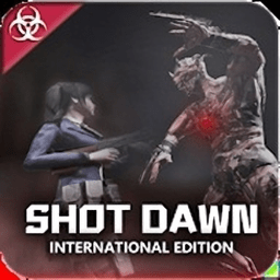 shot dawn international游戏