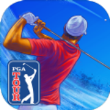 PGA高尔夫巡回赛游戏