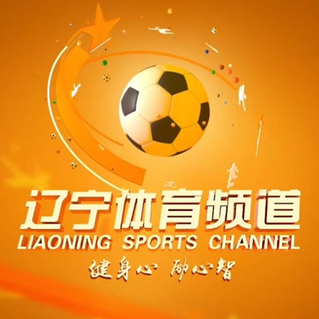 辽宁卫视体育频道直播