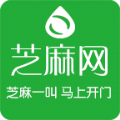 芝麻网app