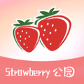 草莓公园app安卓版