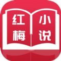 红梅小说阅读器app
