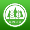 江西林业App