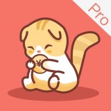 懒猫记账Pro app