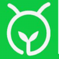 初乐能量树app