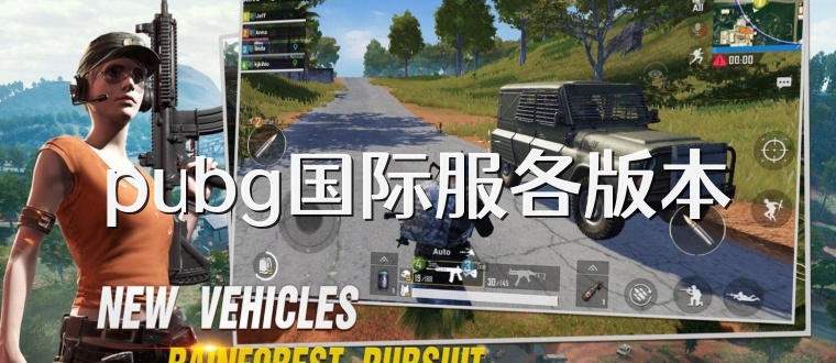 pubg国际服各版本