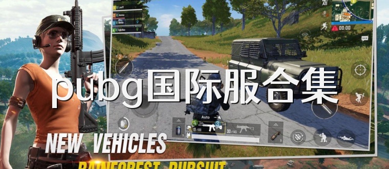 pubg国际服合集