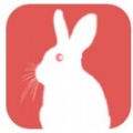 玉兔交友app