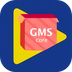 GMS安装器app
