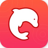 海豚动态桌面app