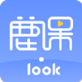 鹿课Look app