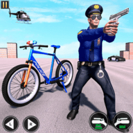 美国警察迈阿密追捕游戏