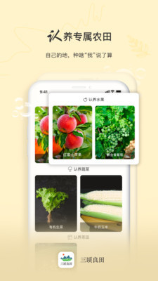 三顷良田 1